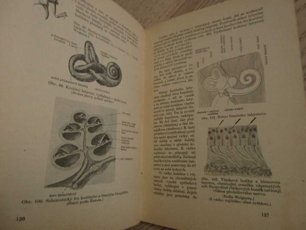 ANATOMIE, UČEBNÍ TEXT PRO ZDRAVOTNICKÉ ŠKOLY, 1954, **an