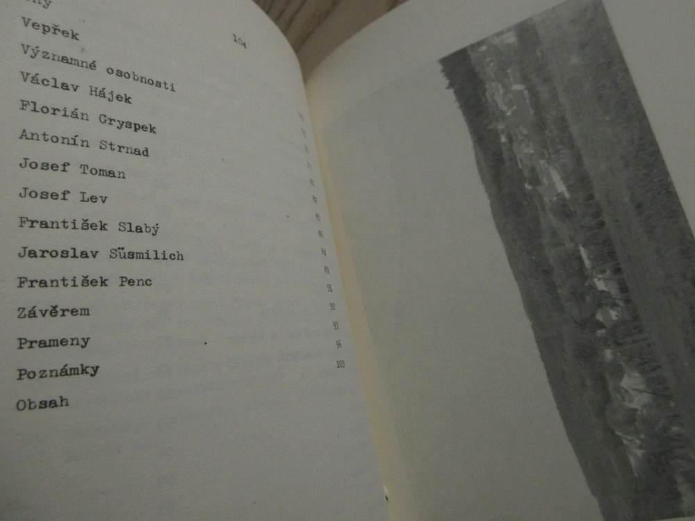 SAZENÁ, OKR. KLADNO, O. ŠPECINGER, 1980, **an