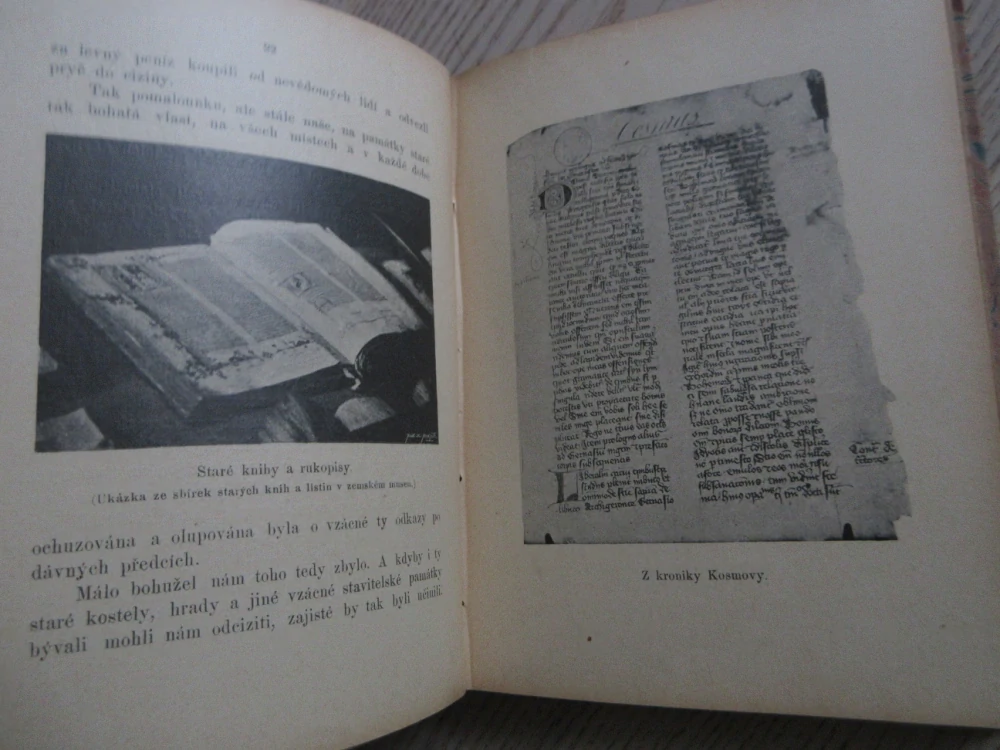 Z ČESKÉ KRONIKY, OBRÁZKY ZLATÝCH I TĚŽKÝCH CHVIL NÁRODA NAŠEHO, KNIHA PRVNÍ, ANTONÍN KAMARÝT, **an