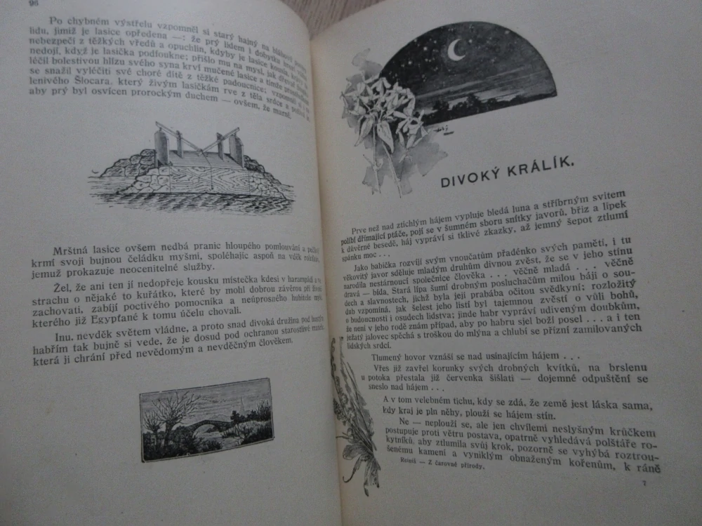 Z ČAROVNÉ PŘÍRODY, STANISLAV REINIŠ, **an