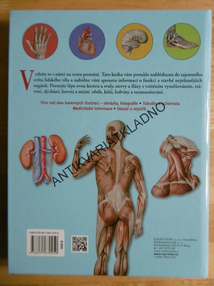 ANATOMIE, ILUSTROVANÝ ATLAS, 