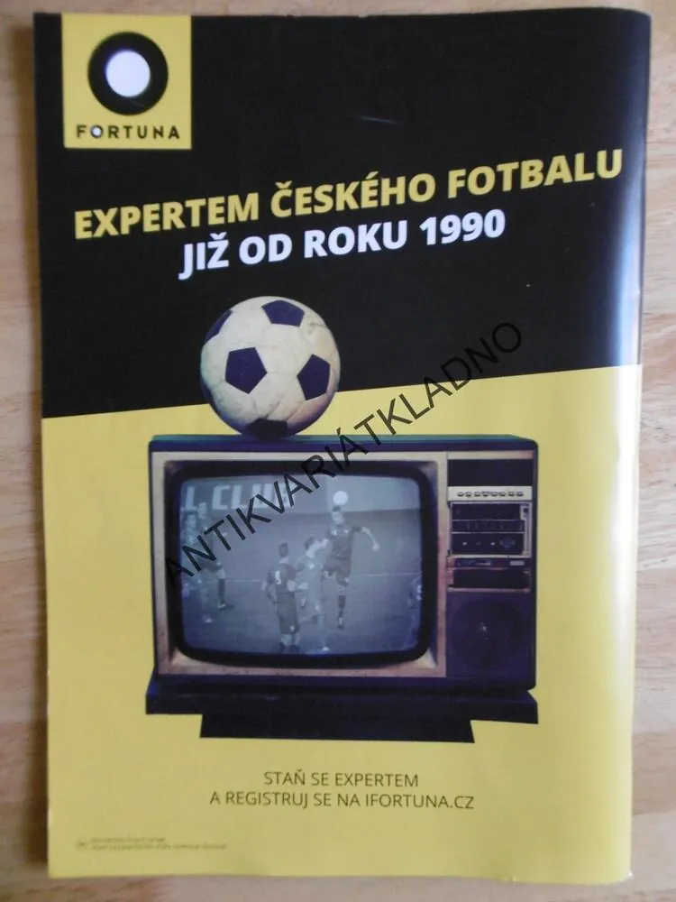 FOTBALOVÉ HVĚZDY LIGOVÉ SEZÓNY 2018/19