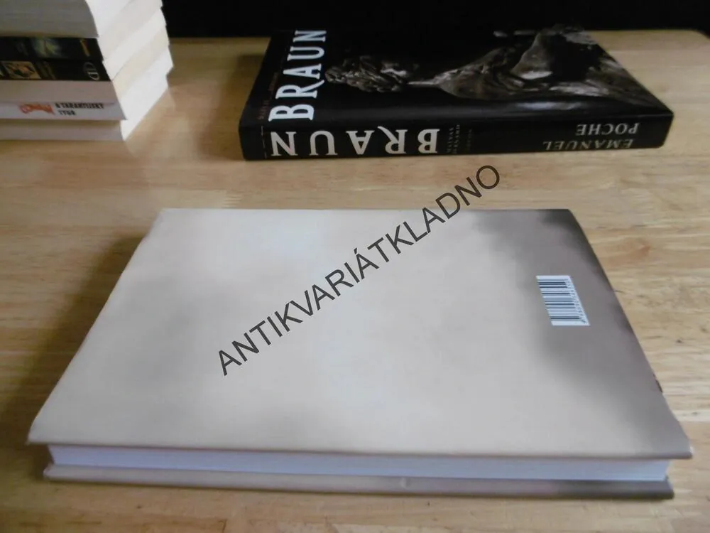 V PLESOVÝCH STŘEVÍČKÁCH SIBIŘSKÝM SNĚHEM, SANDRA KALNIETE