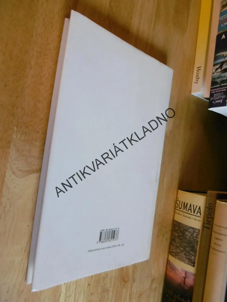 TOULKY ČESKOU MINULOSTÍ, 3., PETR HORA-HOŘEJŠ, **an