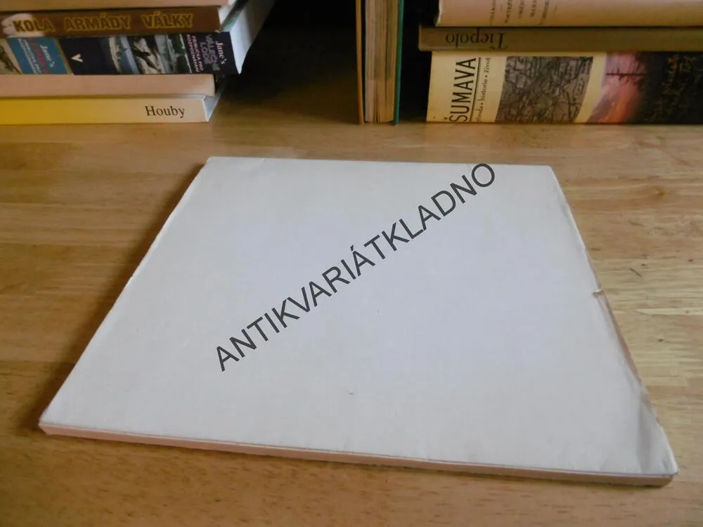 UPM ČESKÝ KUBISTICKÝ INTERIÉR, 1976