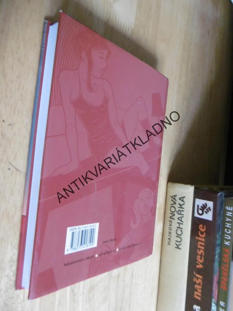 NEMACHRUJ, TA HOLKA JE NAKRESLENÁ! ANEB ÚNOS Z KOMIKSU HANA A HANA, **an