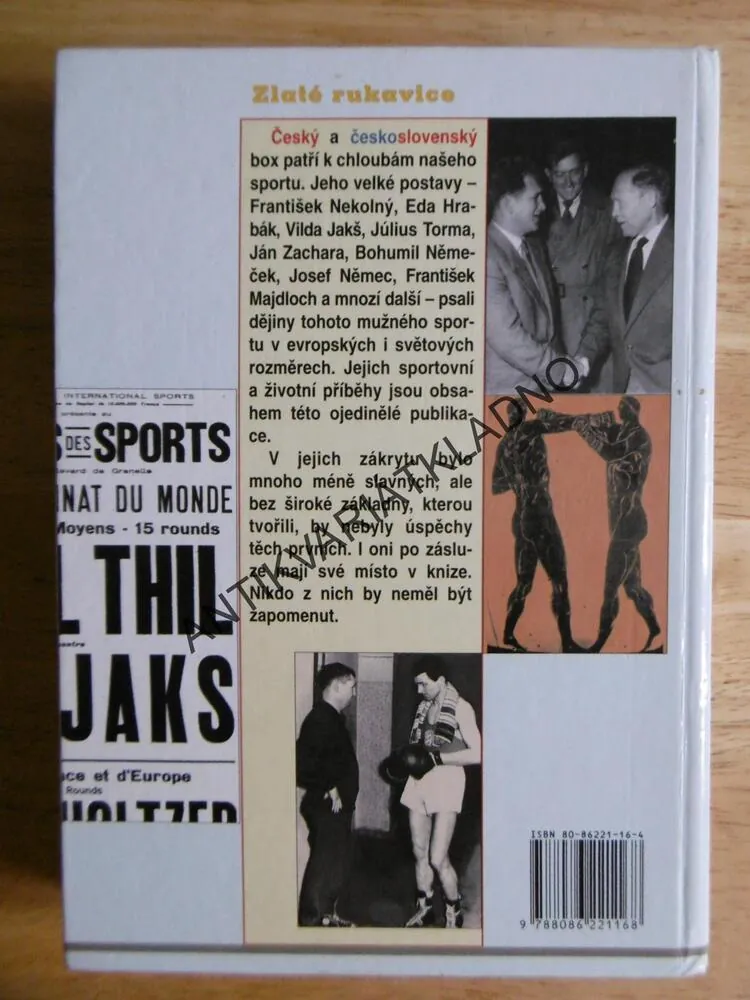 ZLATÉ RUKAVICE,ČERNOCH, HÁJEK, KALÁT,SPORT BOX, 
