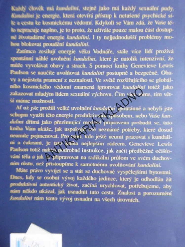 KUNDALINI A ČAKRY, PRAKTICKÁ KNIHA, CESTA UVOLNĚNÍ ŽIVOTNÍ ENERGIE