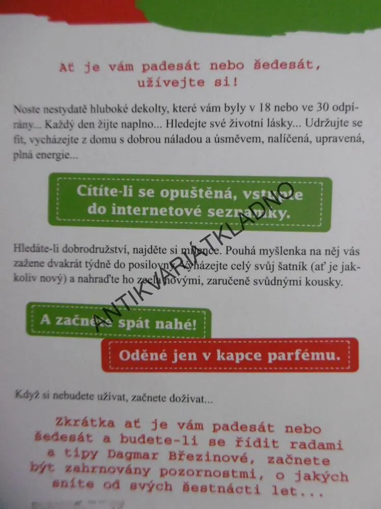 V KAŽDÉM VĚKU STÁT ZA HŘÍCH, DAGMAR BŘEZINOVÁ