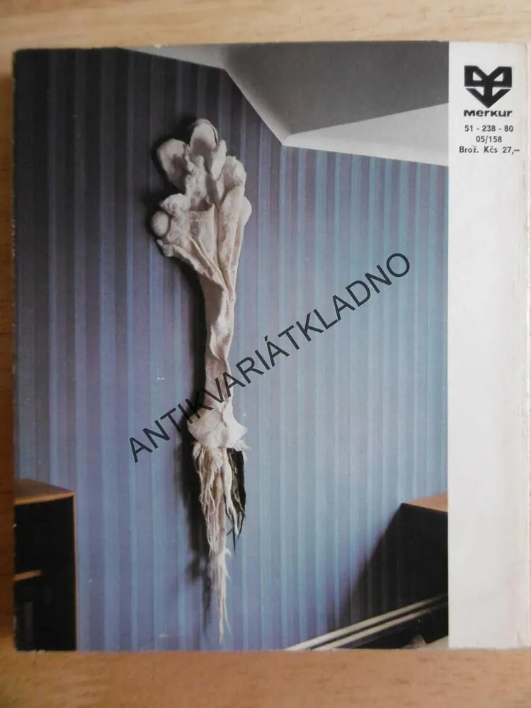 OTAZNÍKY KOLEM ČTYŘ STĚN, BOHMANNOVÁ, 1980, **an