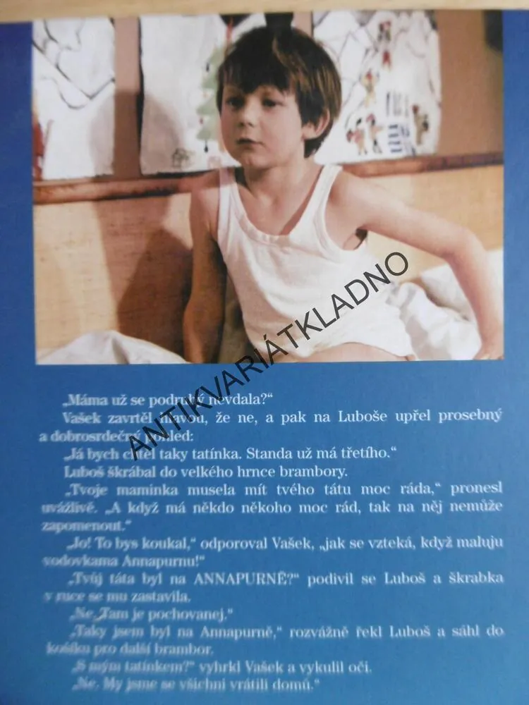 JAK VYTRHNOUT VELRYBĚ STOLIČKU, MARIE POLEDŇÁKOVÁ, **an