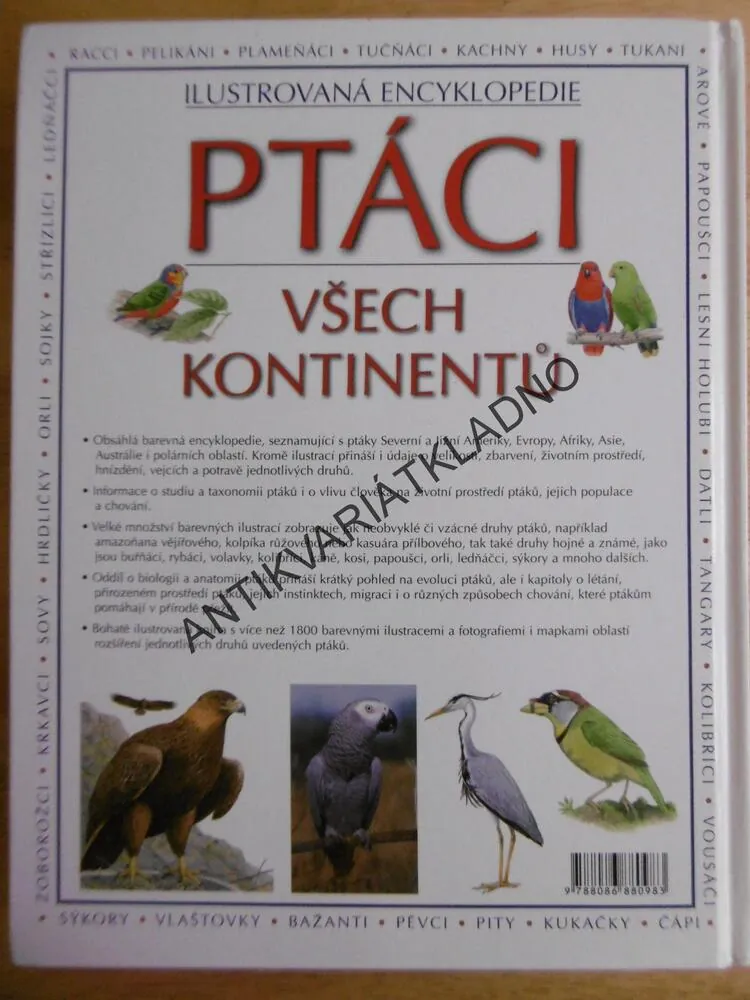 PTÁCI VŠECH KONTINENTŮ, ILUSTROVANÁ ENCYKLOPEDIE, ALDERTON, **an