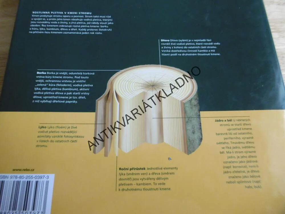 STROMY, VELKÝ OBRAZOVÝ PRŮVODCE, TONY RODD, JENNIFER STACKHOUSE