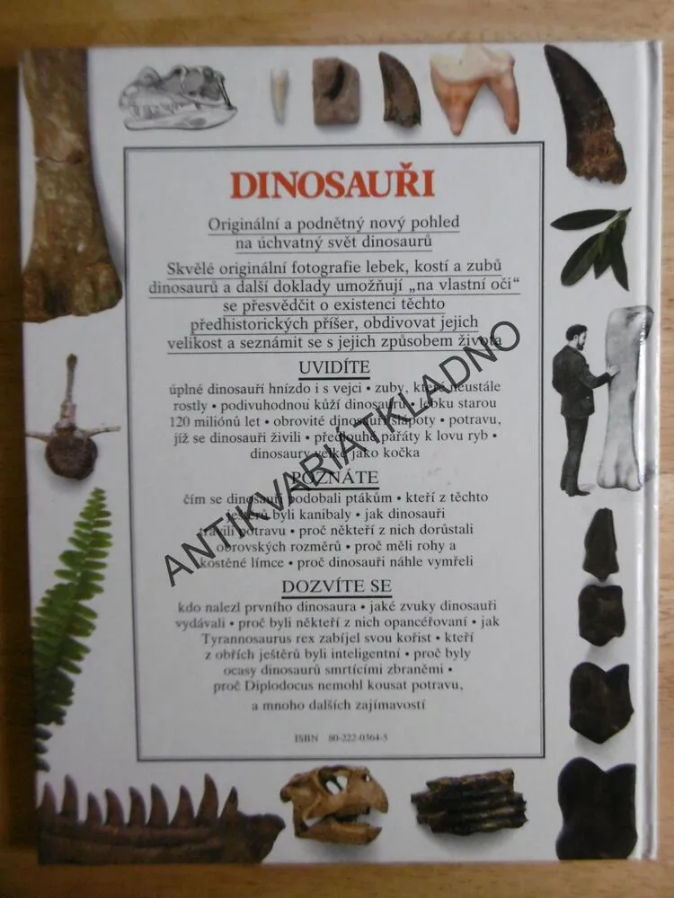 DINOSAUŘI, VIDĚT, POZNAT, VĚDĚT, **an