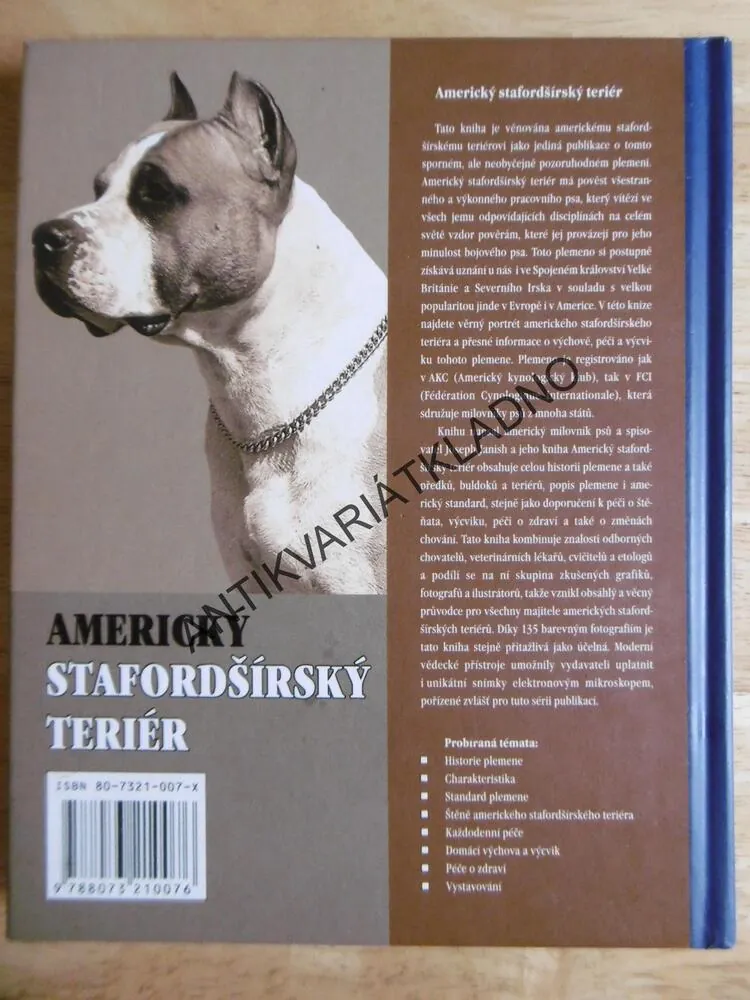 AMERICKÝ STAFORDŠIRSKÝ TERIÉR, PES, JOSEPH JANISH, **an