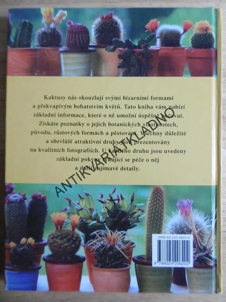 KNIHA O KAKTUSECH, NEJHEZČÍ DRUHY A PÉČE O NĚ, ELISABETH MANKEOVÁ, **an