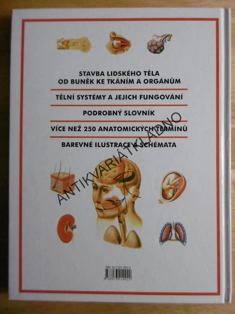 ATLAS LIDSKÉHO TĚLA, ANATOMIE, ILUSTROVANÝ ATLAS,
