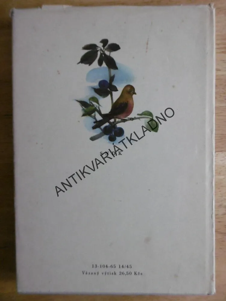CESTIČKA K DOMOVU, KAREL V.RAIS, DANIELA HAHNOVÁ