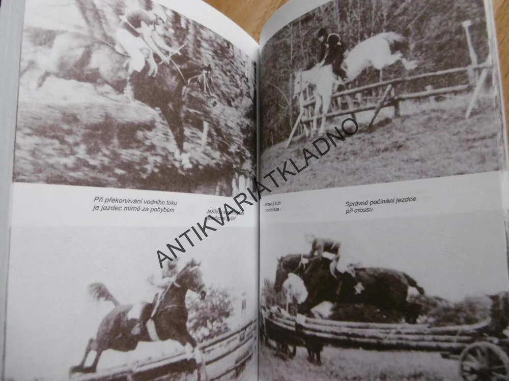 JÍZDA NA KONI, JOSEF DOBEŠ, JEZDECTVÍ, PRŮVODCE PRO MILOVNÍKY KONÍ,KŮŇ, **an