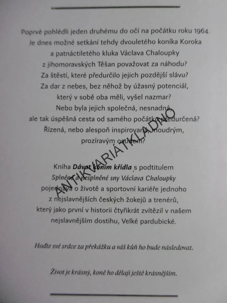 DÁVAT KONÍM KŘÍDLA, PETR FELDSTEIN, SPLNĚNÉ A NESPLNĚNÉ SNY VÁCLAVA CHALOUPKY,