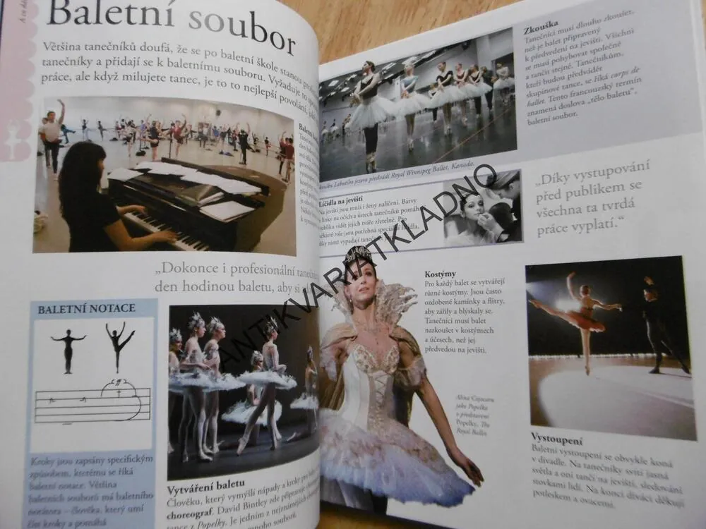 JAK NA BALET, PRŮVODCE TAJEMSTVÍM BALETU KROK ZA KROKEM