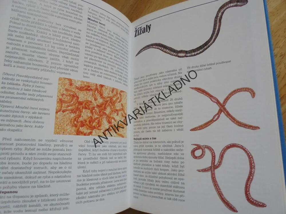 ENCYKLOPEDIE SPORTOVNÍHO RYBÁŘSTVÍ, RYBA, RYBÁŘ, RYBY, **an