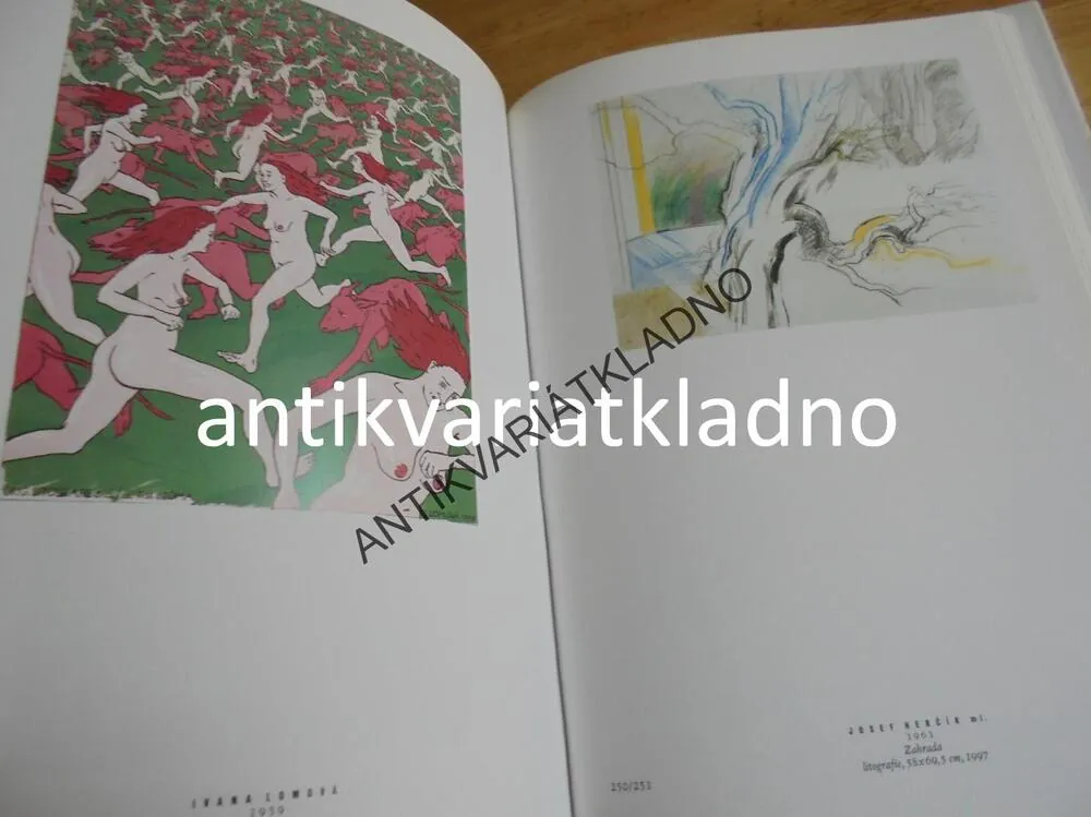 ČESKÁ GRAFIKA 20.ST., HOLLAR, UMĚNÍ VÝTVARNÉ