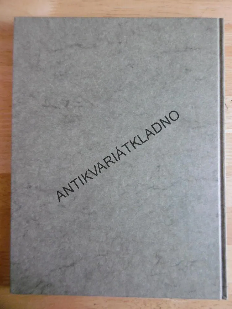 TICHÉ LABYRINTY, PETR HRUŠKA, MICHAL AJVAZ, **an