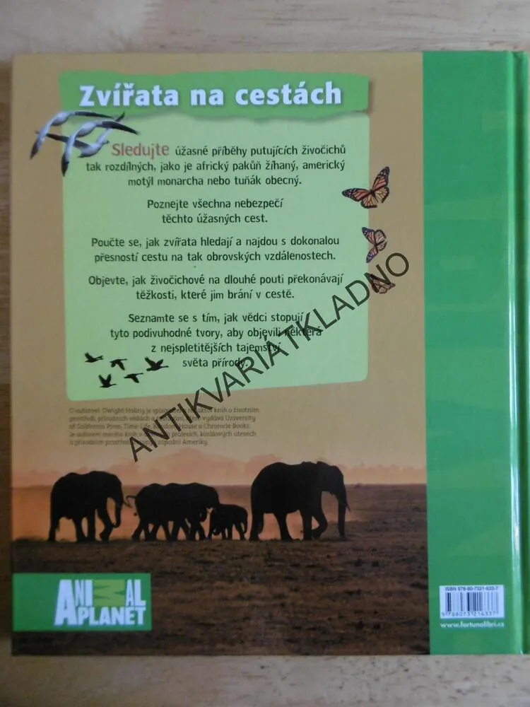 ZVÍŘATA NA CESTÁCH, MIGRACE ZVÍŘAT, ANIMAL PLANET, **an