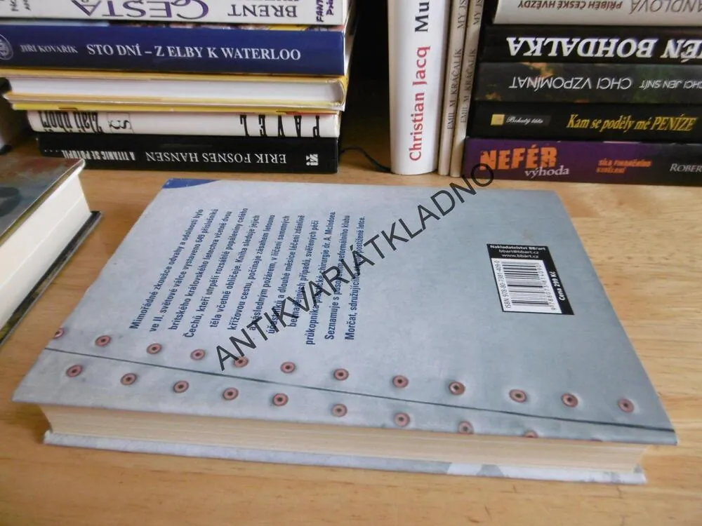 LETCI S PLASTIKOU, E.R. MAYHEWOVÁ, **an