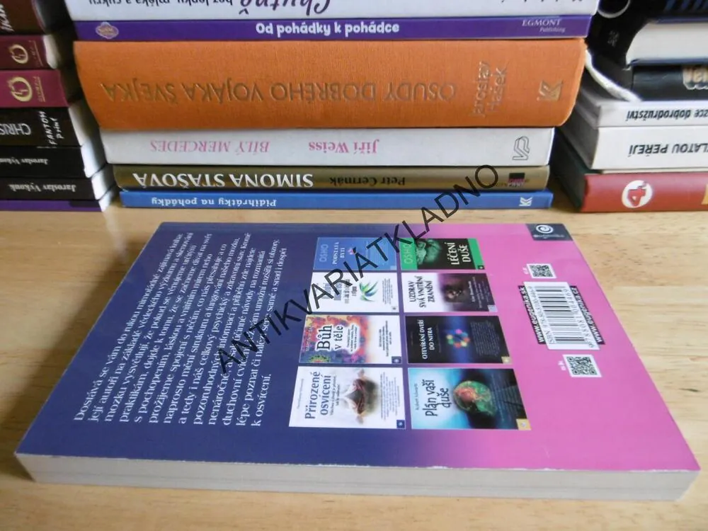 JAKÉ PROŽITKY MĚNÍ NÁŠ MOZEK, ANDREW NEWBERG, **an