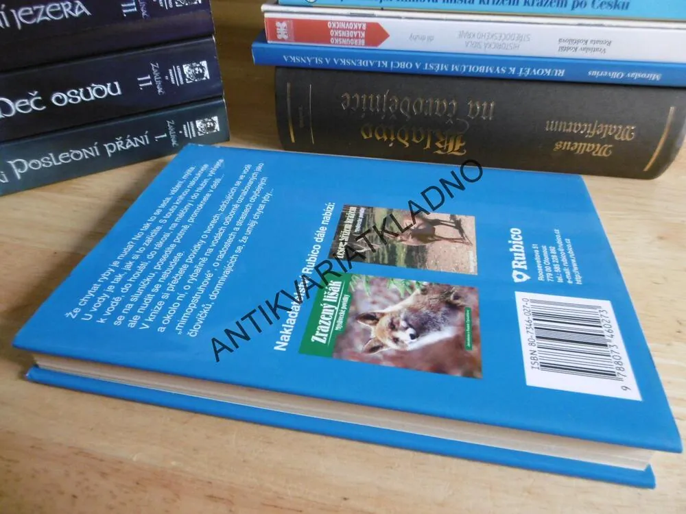 O RYBÁCH, RYBÁŘÍCH ANEB POVÍDKY Z RÁKOSÍ II, MALANÍK,