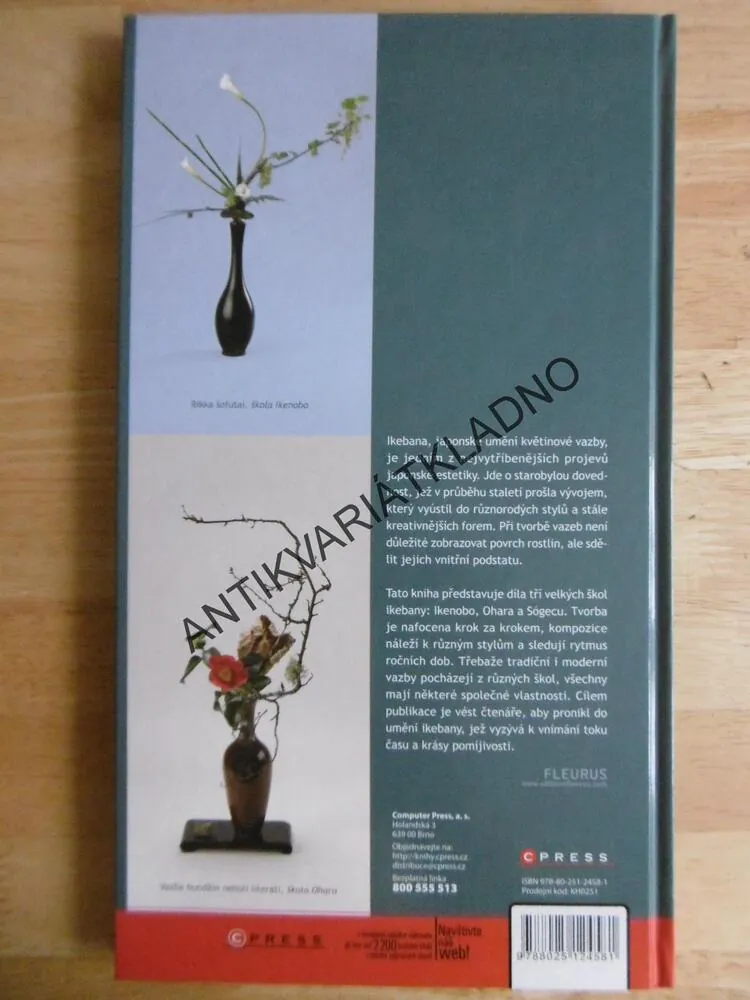 IKEBANA TVORBA KROK ZA KROKEM, CARTON, DIAS