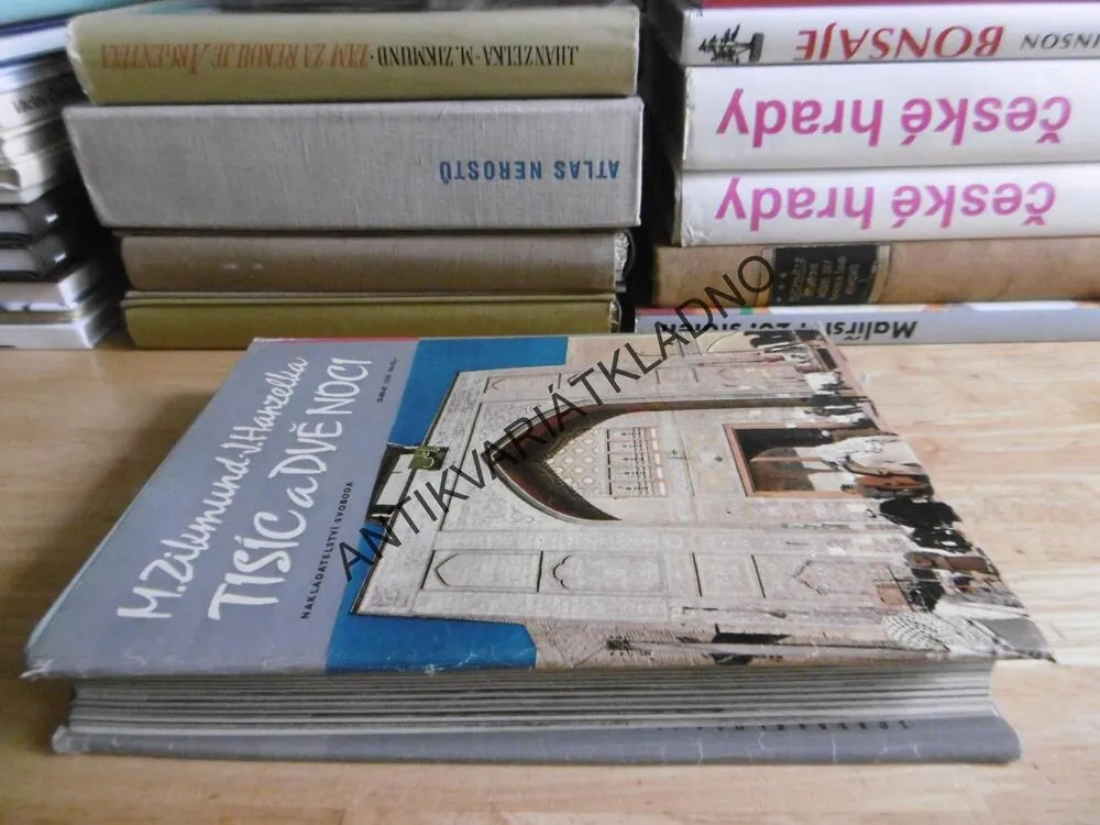 ZVLÁŠTNÍ ZPRÁVA Č. 4, JIŘÍ HANZELKA, MIROSLAV ZIKMUND, **an