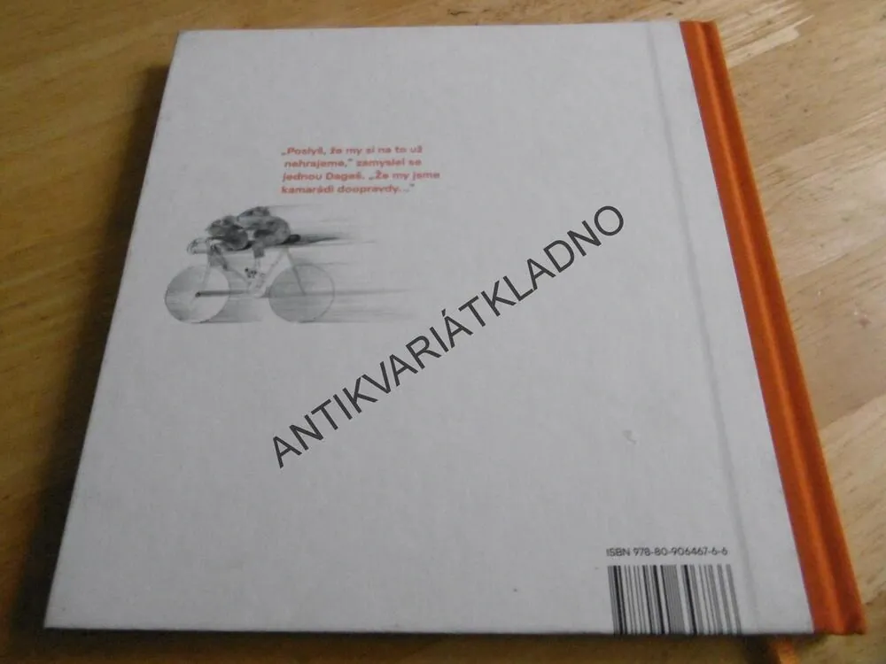 BRATŘI V POLI, JANA ŠRÁMKOVÁ, MARKÉTA PRACHATICKÁ,
