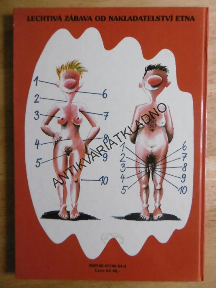 VŠECHNY EROTOGENNÍ ZÓNY, ERICH RAUSCHENBACH, VTIPY, HUMOR