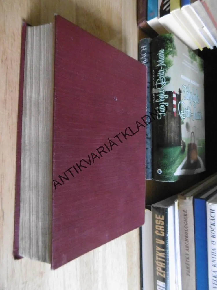 DĚVČE BEZE JMÉNA, A.C. GUNTER,  LOUKOTKA, 1933, **an