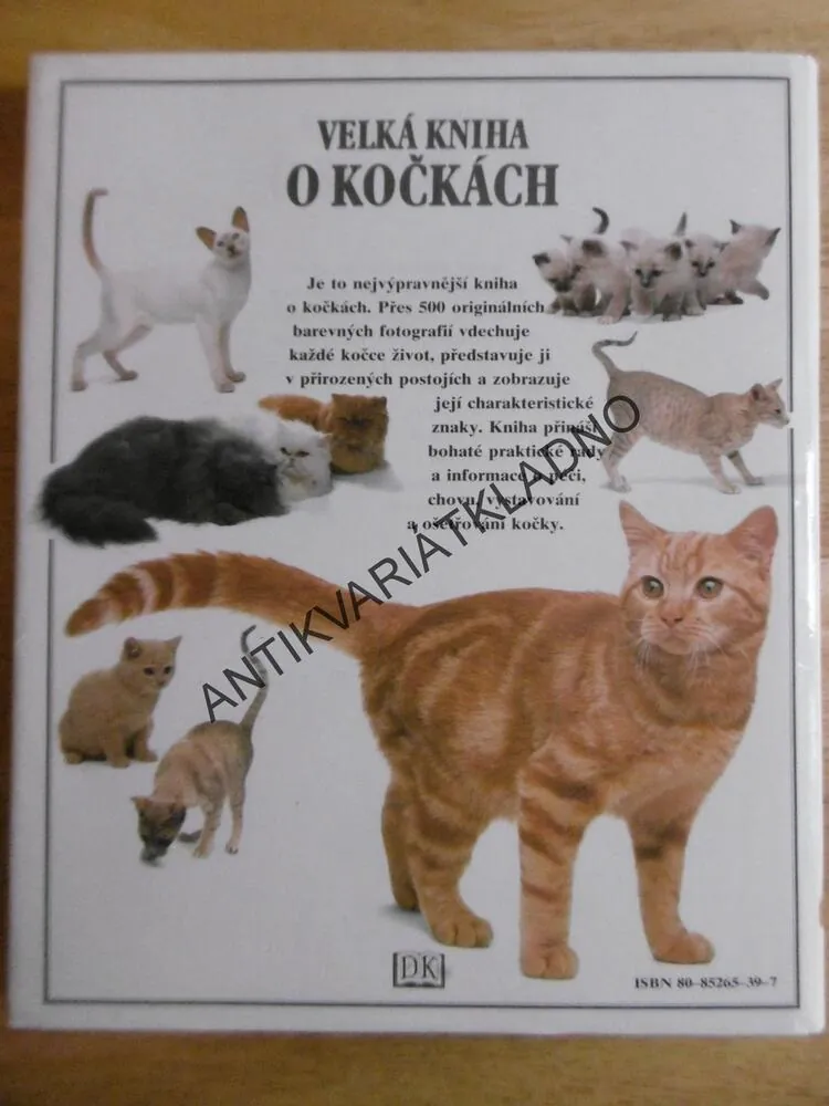 VELKÁ KNIHA O KOČKÁCH, DAVID TAYLOR