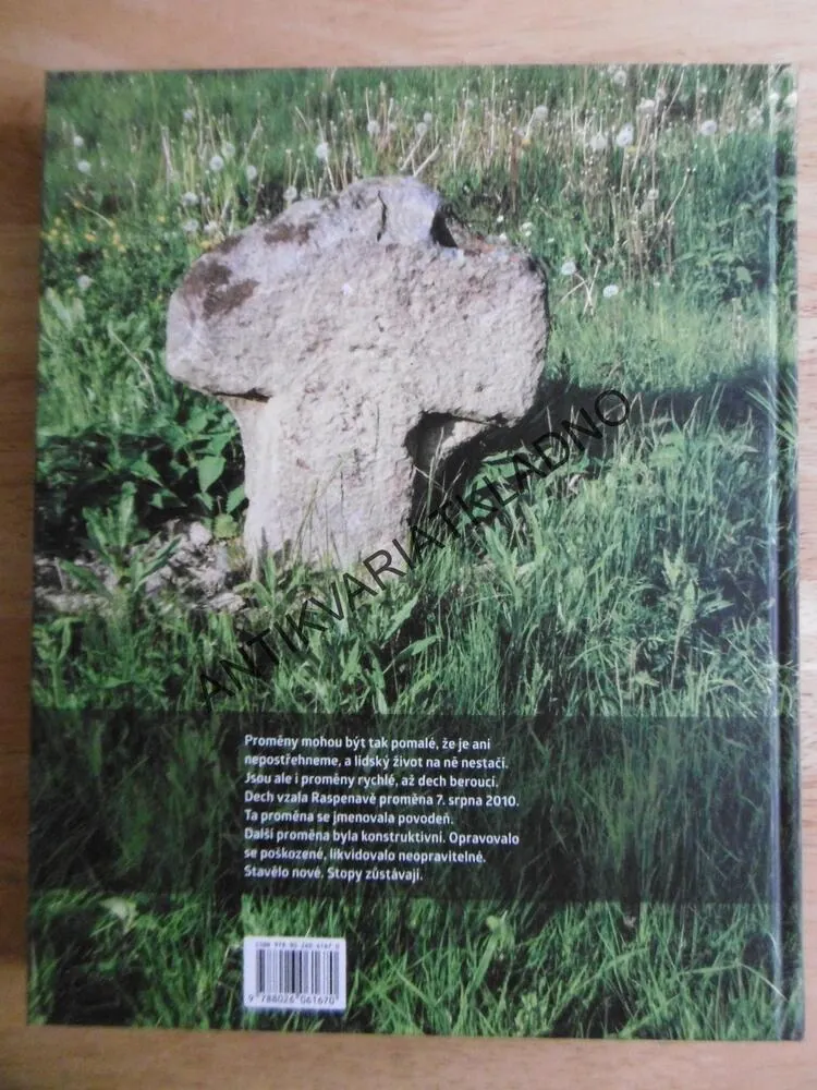 RASPENAVA, ZPRÁVA O BONOVĚ MĚSTA PO VELKÉ VODĚ V ROCE 2010, JAN ČÍŽEK, **an