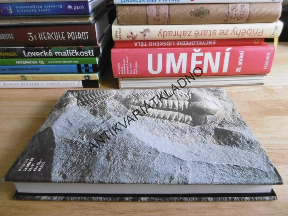 ZKAMENĚLÝ SVĚT, RUDOLF PROKOP, ARCHEOLOGIE