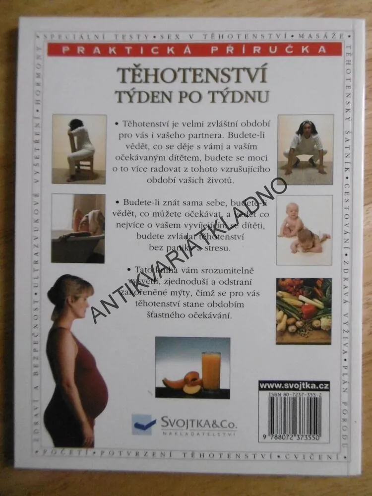 TĚHOTENSTVÍ, TÝDEN PO TÝDNU, PRAKTICKÁ PŘÍRUČKA, ALISON MACKONOCHIEOVÁ, **an