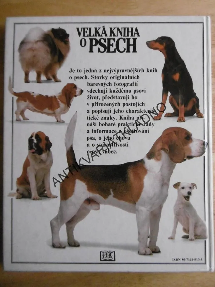 VELKÁ KNIHA O PSECH, DAVID TAYLOR