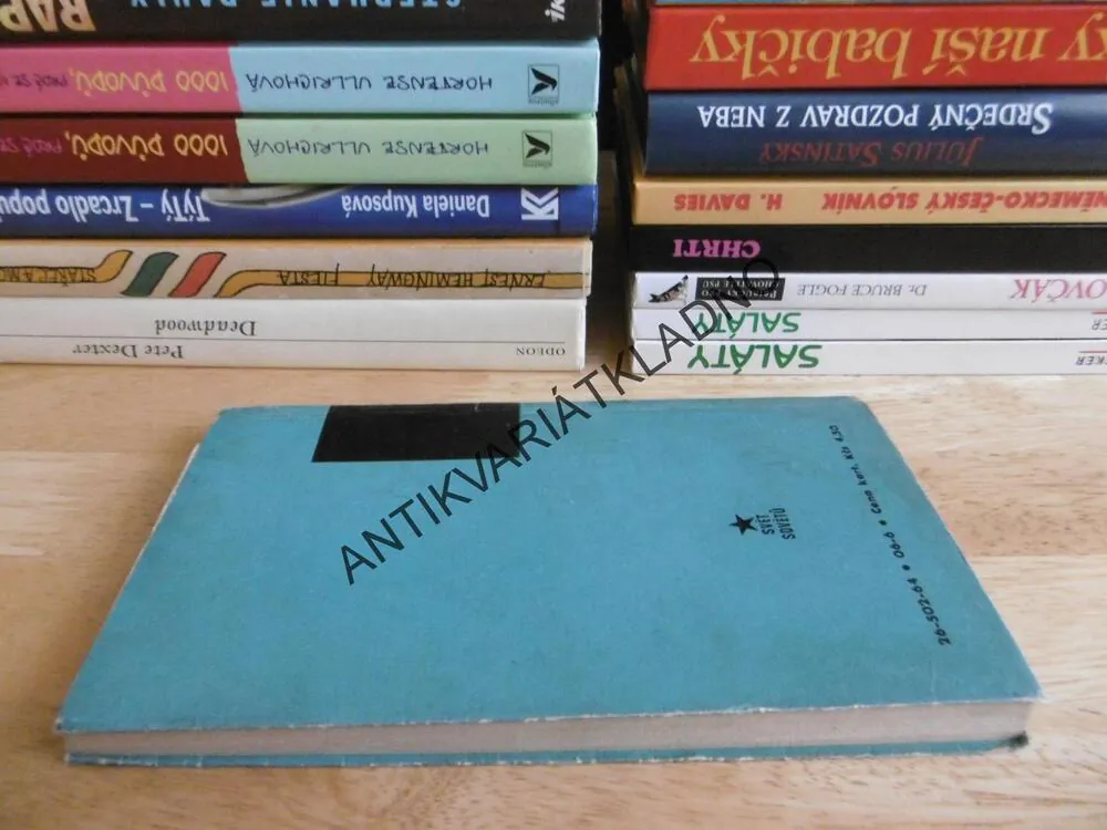 LIDÉ A LETADLA, VÁCLAV NĚMEČEK, **an