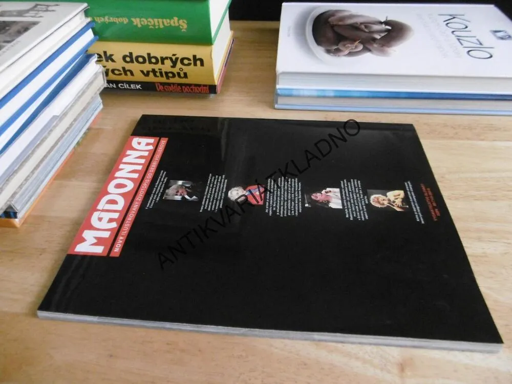 MADONNA, ILUSTROVANÝ ŽIVOTOPIS, DEBBI VOLLEROVÁ, POP MUSIC ZPĚVÁK, **an