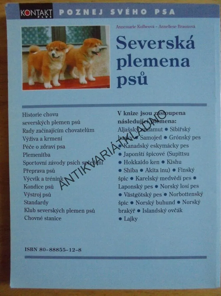SEVERSKÁ PLEMENA PSŮ, MALAMUT, HASKY, SAMOJED,PES, **an