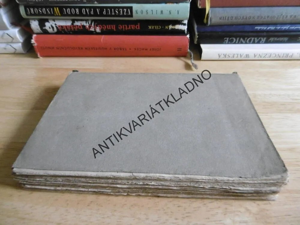 SVĚTOVÁ VÁLKA, ALOIS ŽÍPEK