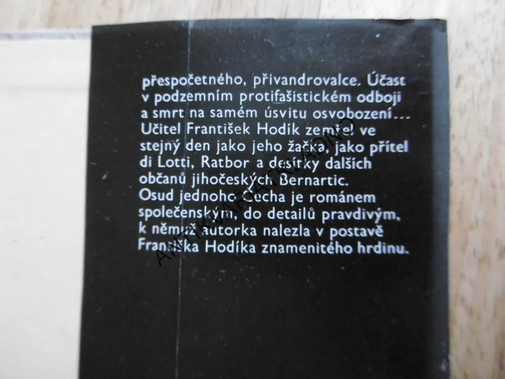 OSUD JEDNOHO ČECHA,ILONA BORSKÁ, 1984,**an