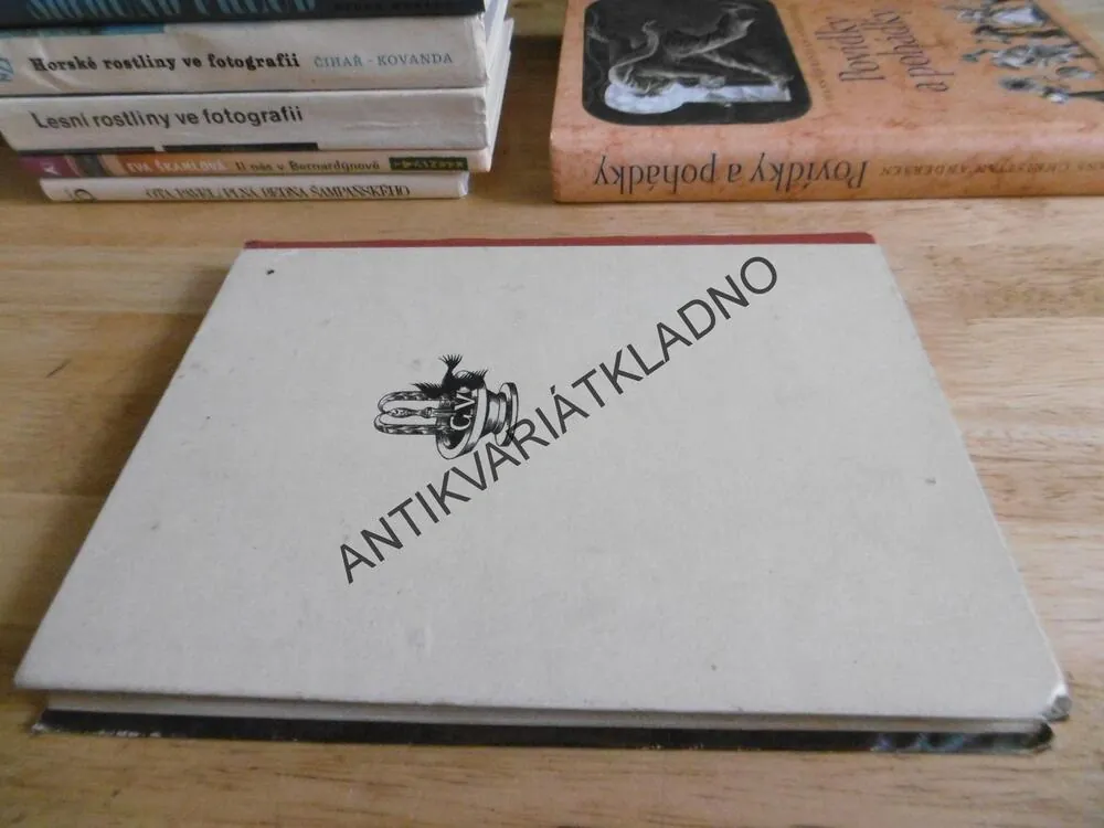 ORLÍ SRDCE, V. ZÍKA, M. NOVÁK, 1942, LETECKÝ ROMÁN
