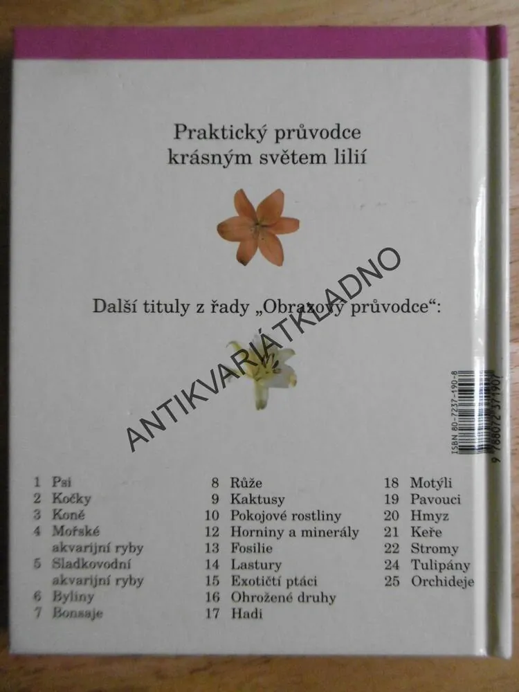 LILIE, OBRAZOVÝ PRŮVODCE 23, **an