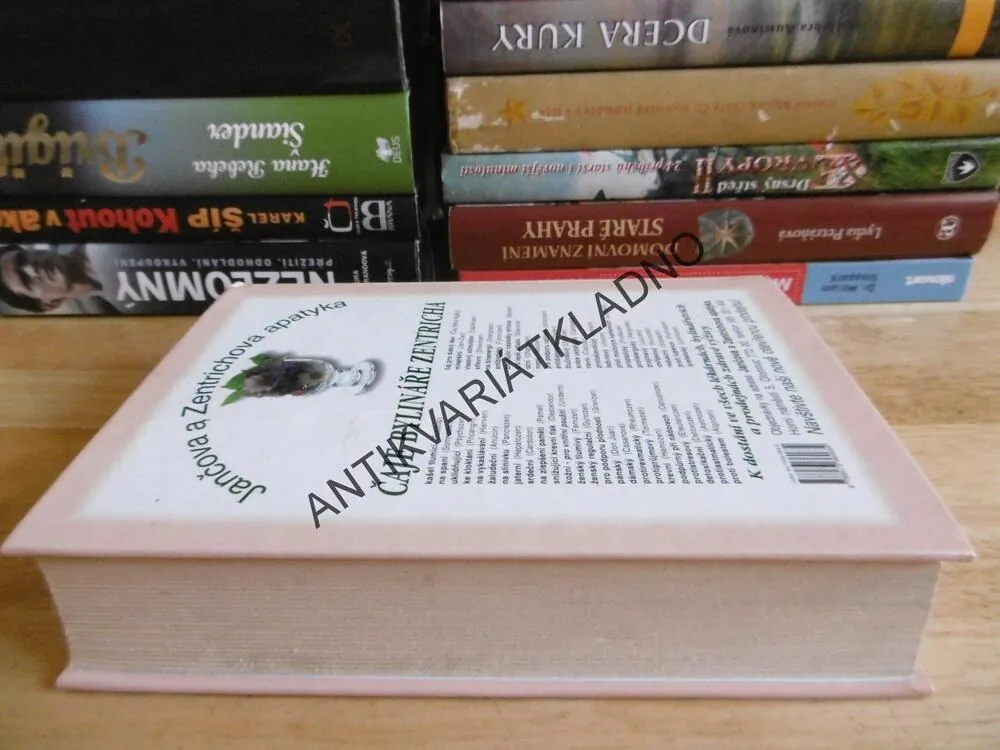 VELKÁ UČEBNICE ASTROLOGIE, PRO ZAČÁTEČNÍKY I POKROČILÉ, HOROSKOP, OSUD, F. SAKOIAN, **an
